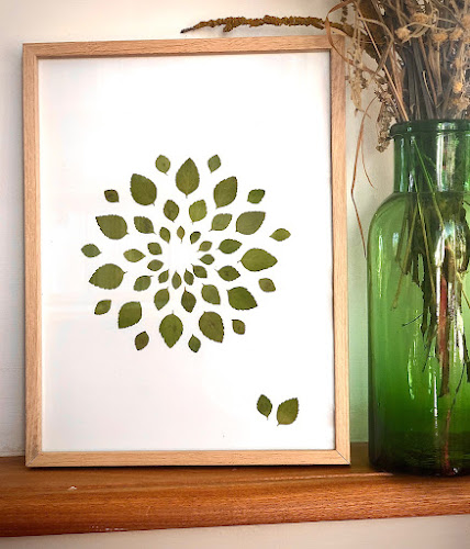 Kit DIY herbier en fleurs séchées – Image 5