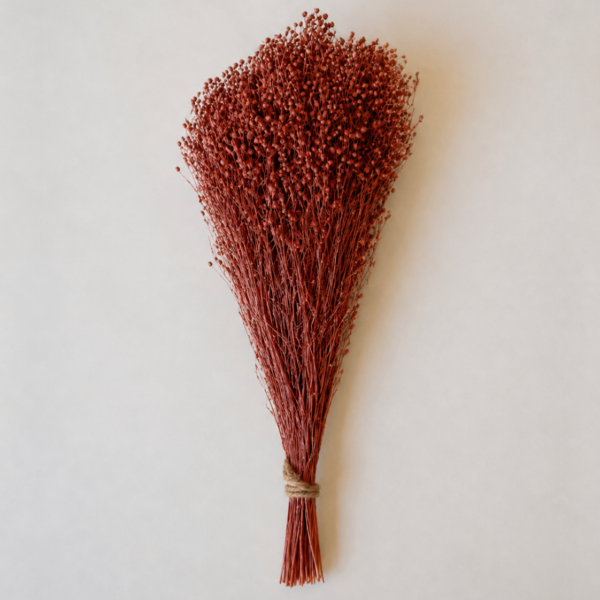 Botte Broom bloom Terracotta