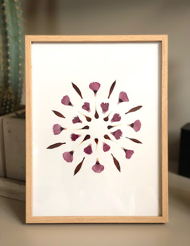Kit DIY herbier en fleurs séchées – Image 6
