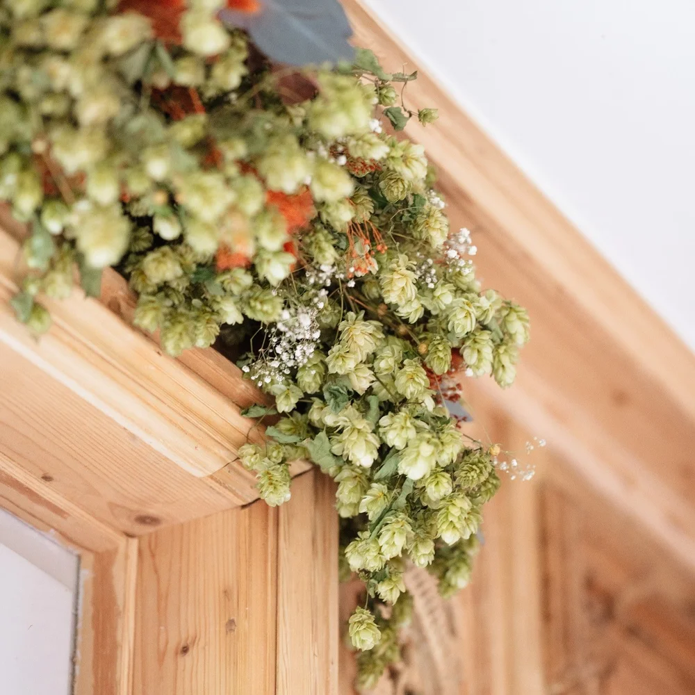 Guirlande de Houblon fleurie – Image 2