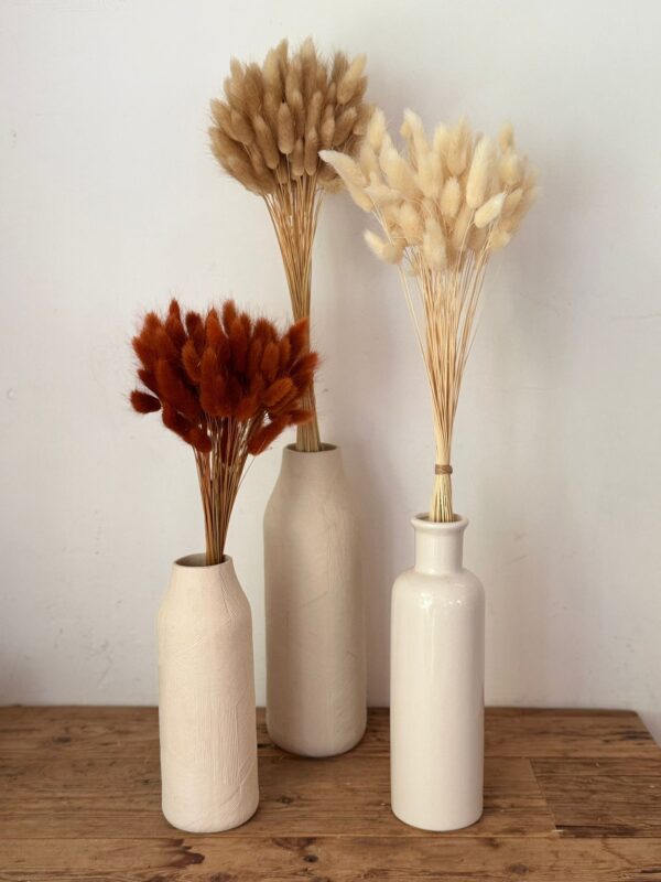 Botte Lagurus Terracotta – Image 4