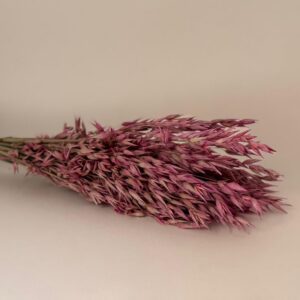 Botte Avoine Rose