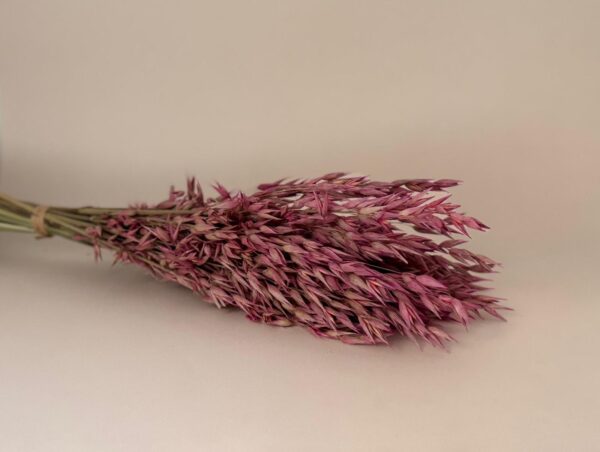 Botte Avoine Rose