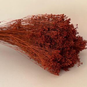 Botte Broom bloom Terracotta