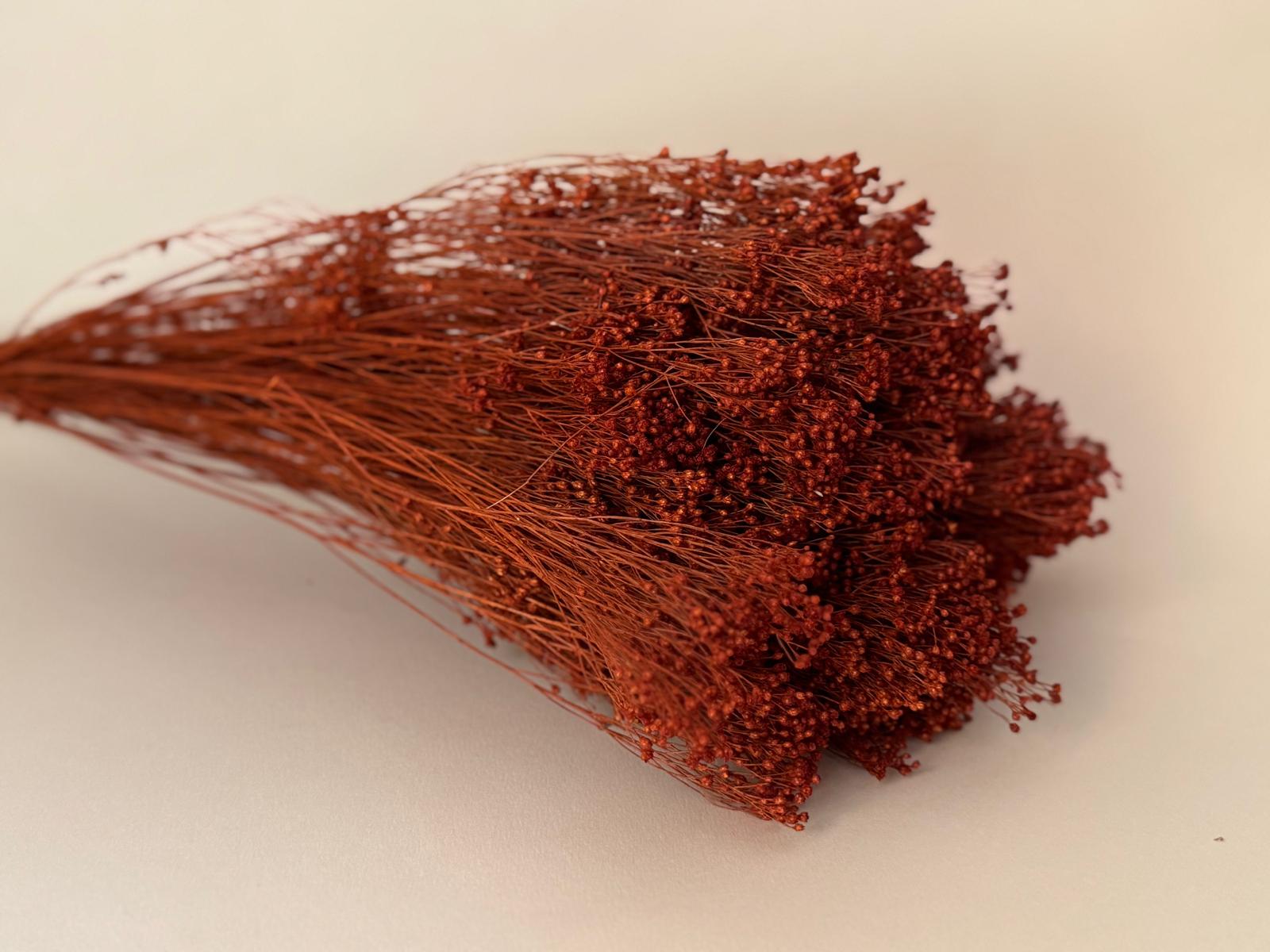Botte Broom bloom Terracotta