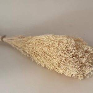 Botte Broom bloom Blanc
