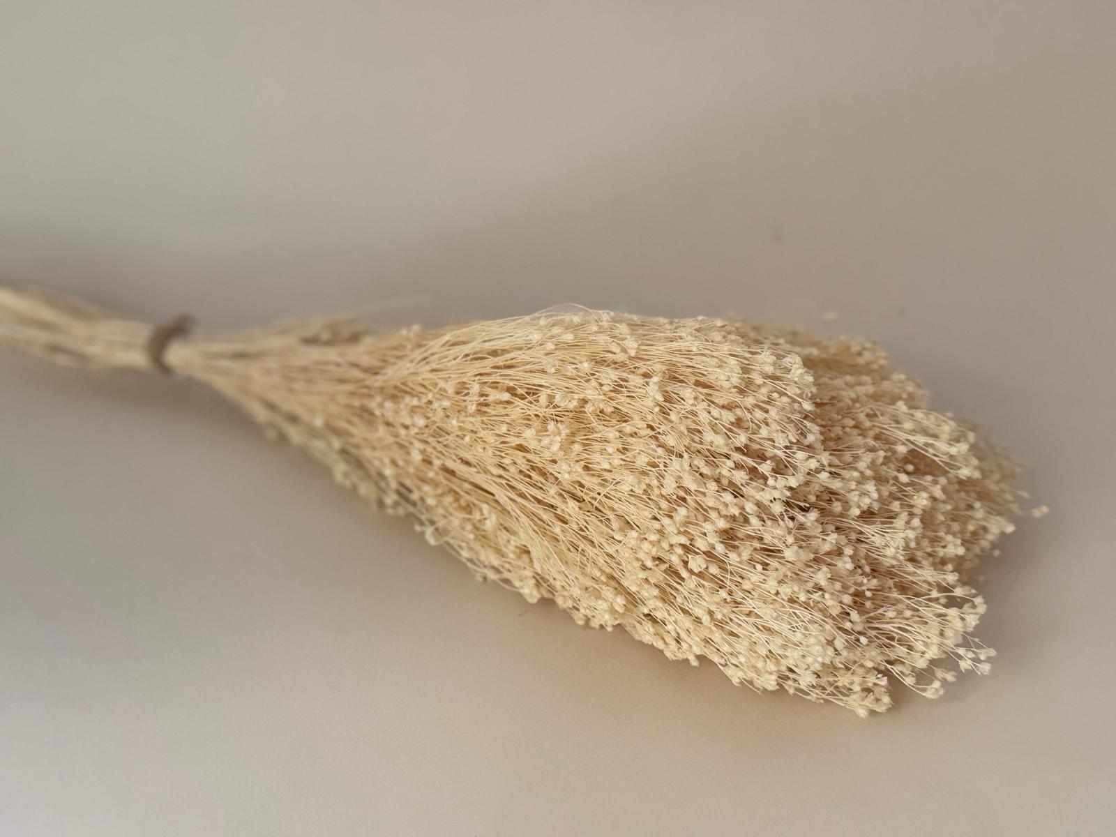 Botte Broom bloom Blanc