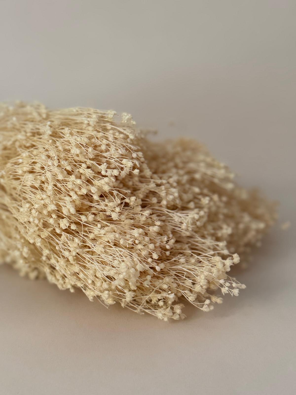 Botte Broom bloom Blanc – Image 3