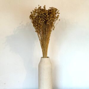 Botte Lin Naturel