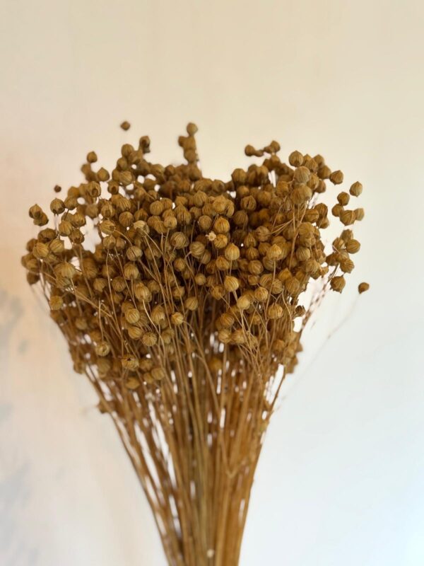 Botte Lin Naturel – Image 3