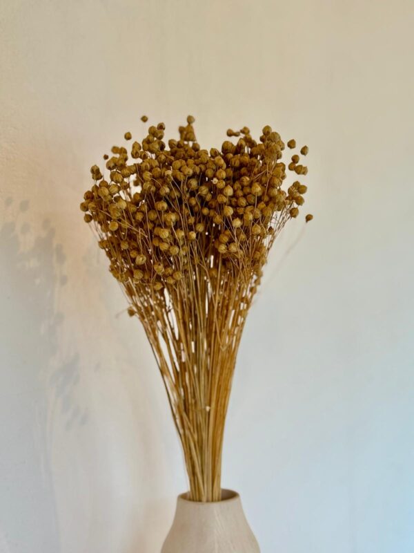 Botte Lin Naturel – Image 2