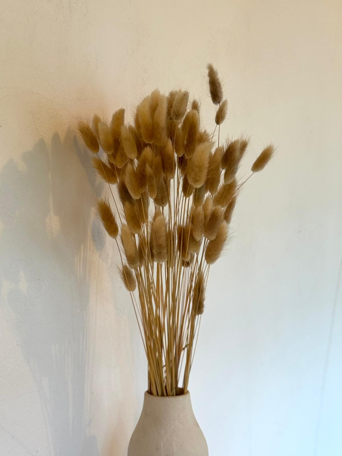 Botte Lagurus Naturel – Image 2