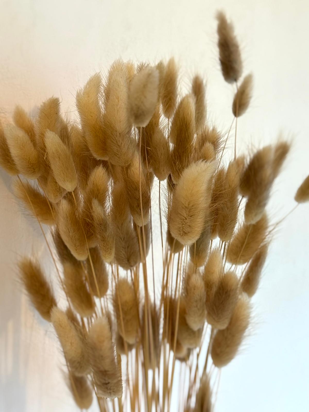 Botte Lagurus Naturel – Image 3