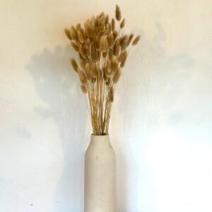 Botte Lagurus Naturel