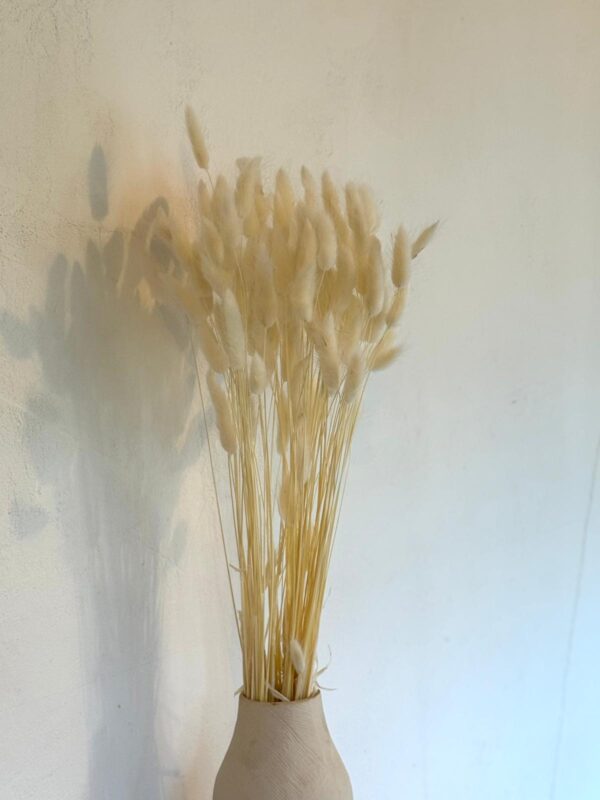 Botte Lagurus Blanc – Image 2