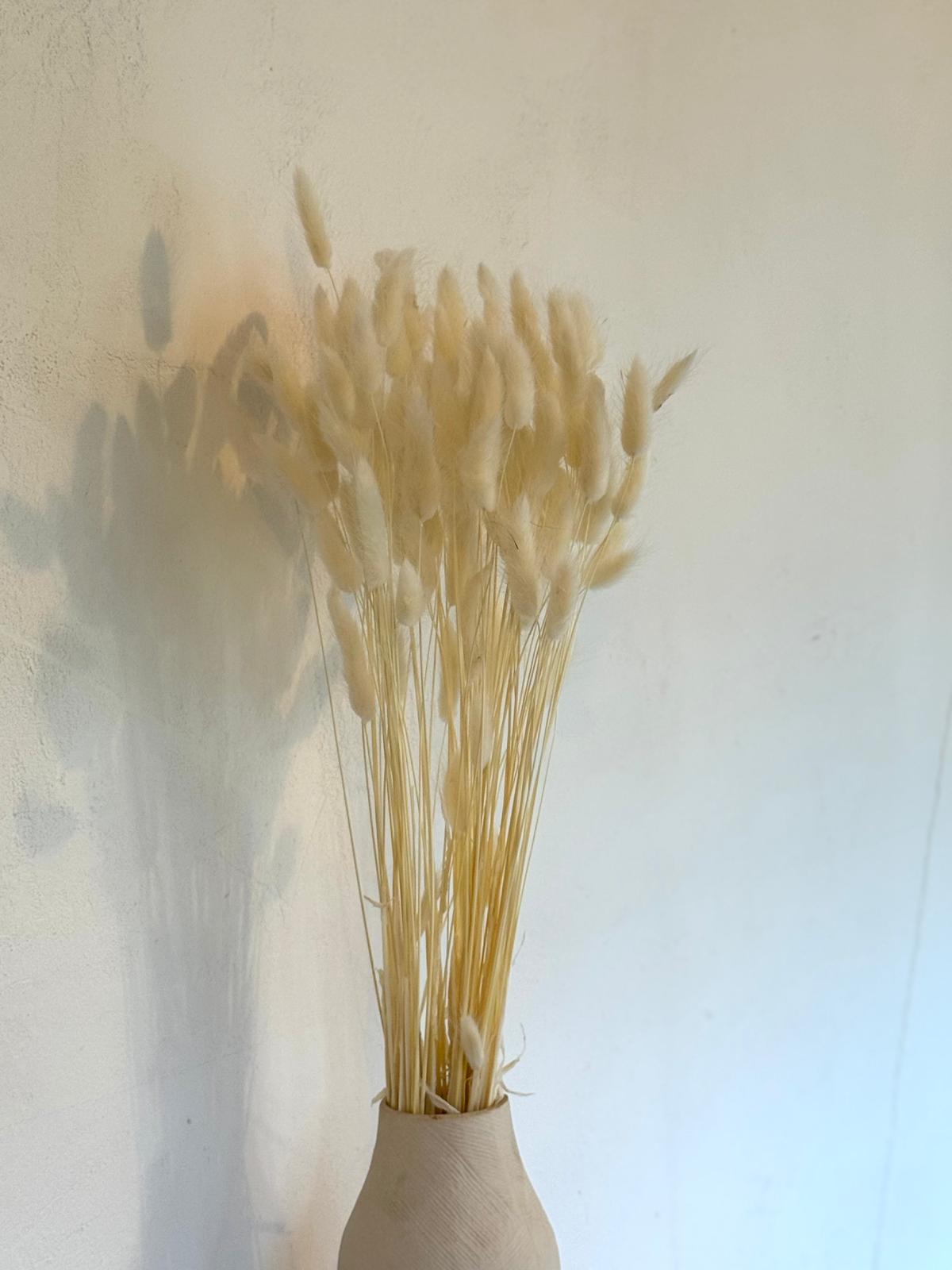 Botte Lagurus Blanc – Image 2