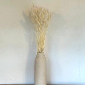 Botte Lagurus Blanc