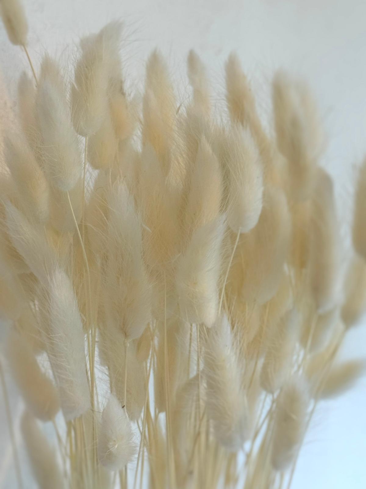 Botte Lagurus Blanc – Image 3
