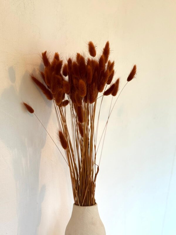Botte Lagurus Terracotta – Image 2