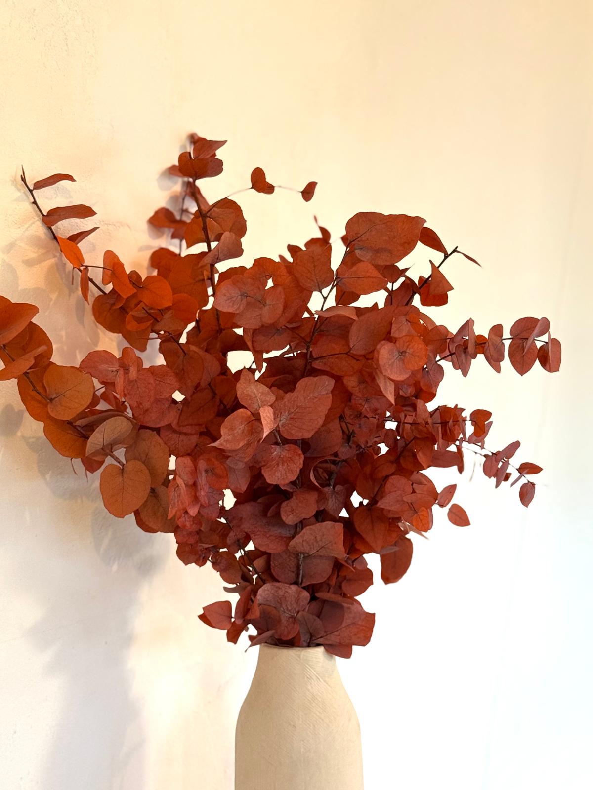 Botte Eucalyptus Cinerea Stabilisé Orange – Image 2