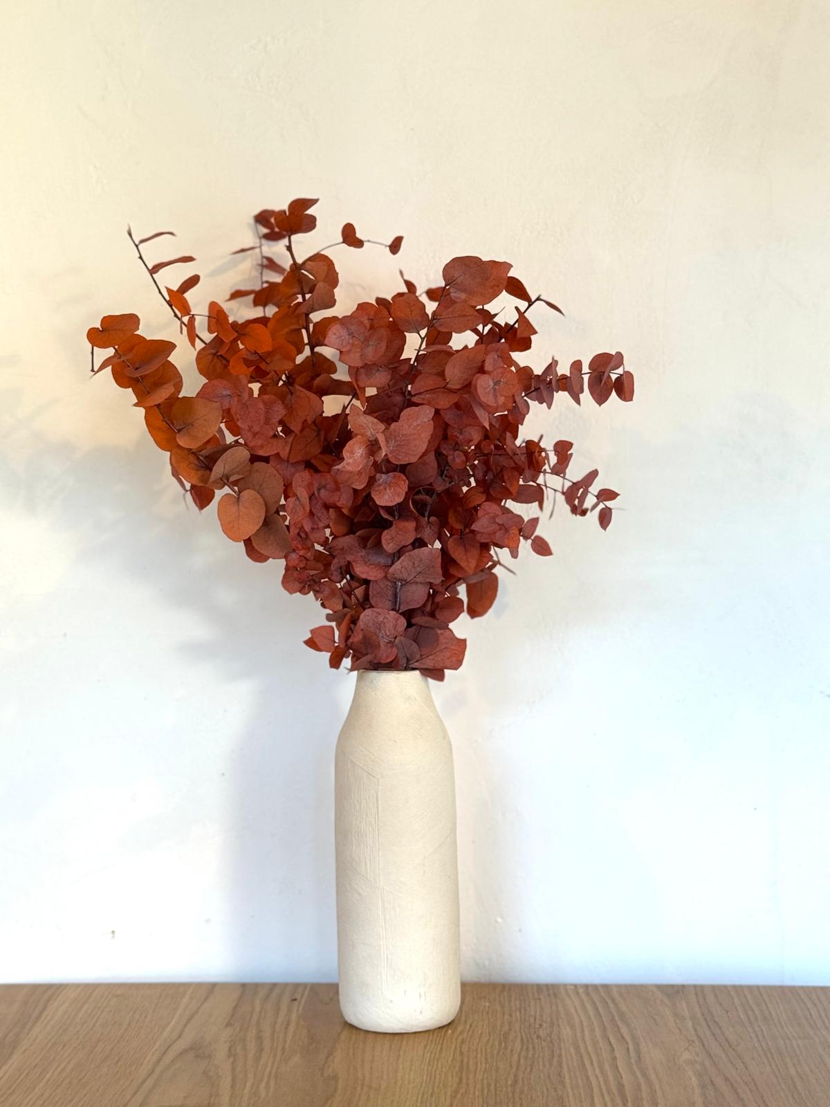Botte Eucalyptus Cinerea Stabilisé Orange
