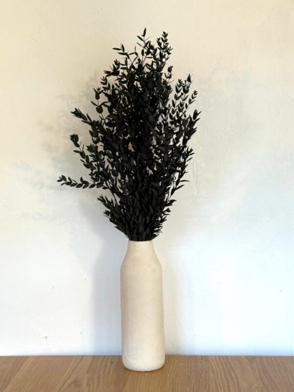 Botte Eucalyptus Parvifolia Stabilisé