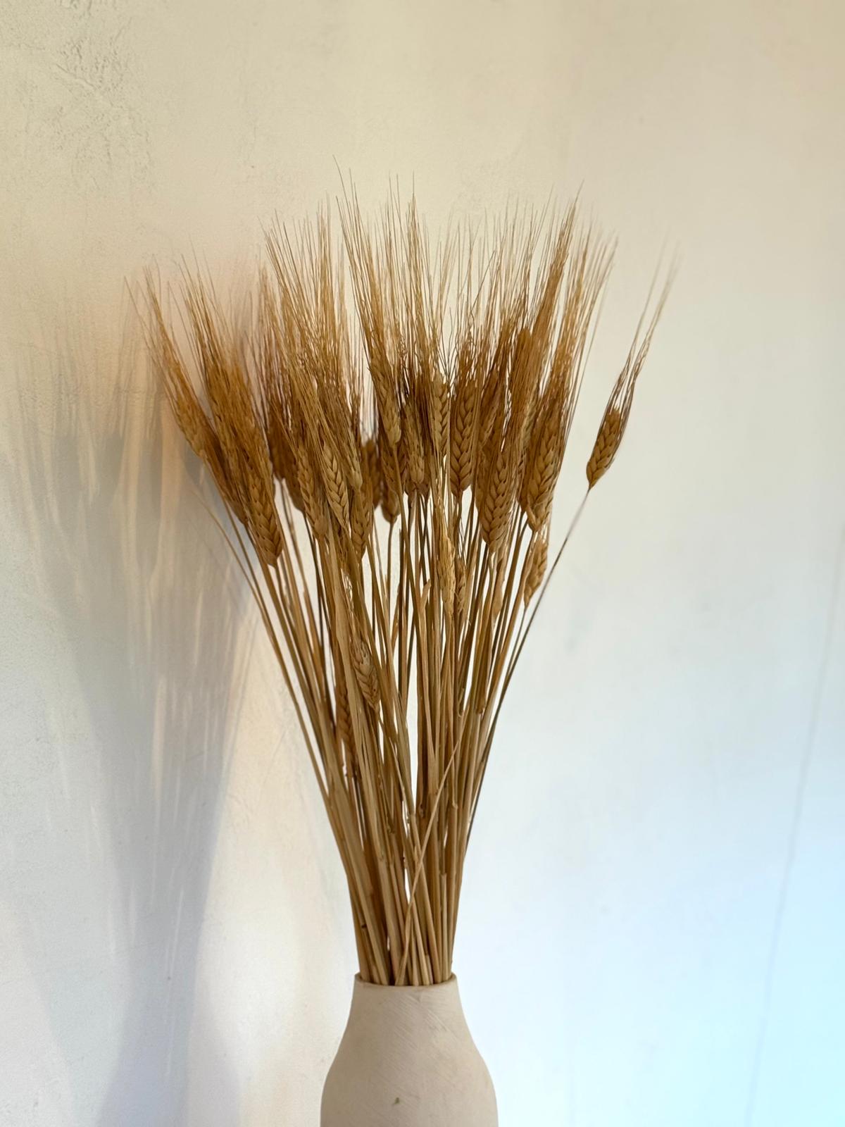 Botte Orge Naturel – Image 2