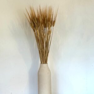 Botte Orge Naturel