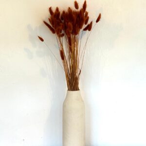 Botte Lagurus Terracotta