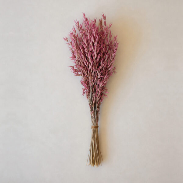 Botte Avoine Rose