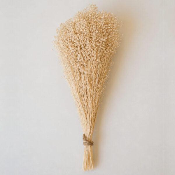 Botte Broom bloom Blanc