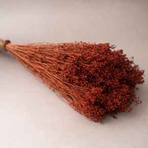 Botte Broom bloom Terracotta