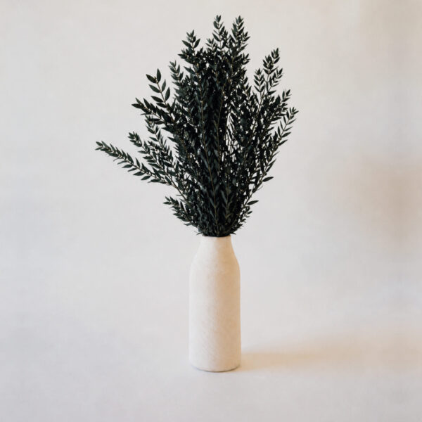 Botte Eucalyptus Parvifolia Stabilisé