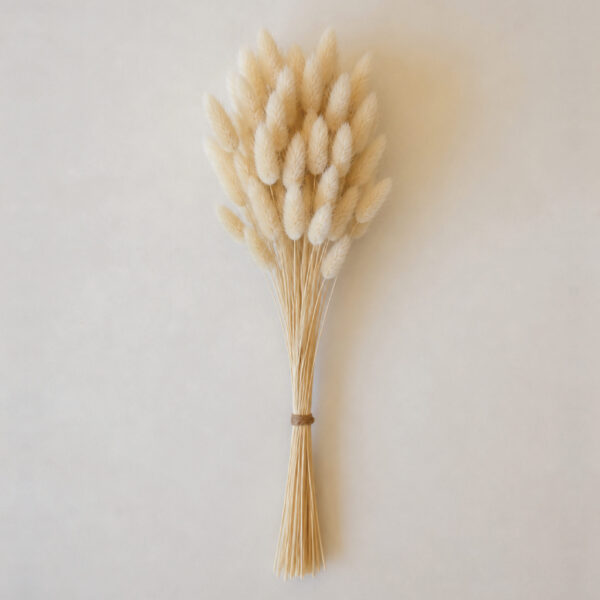 Botte Lagurus Blanc
