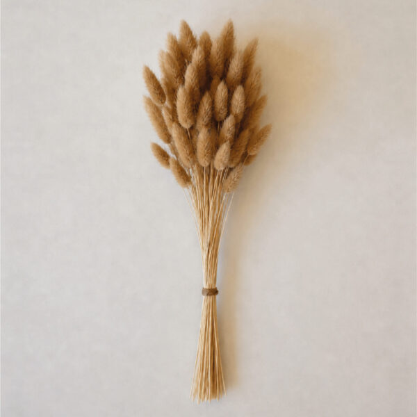 Botte Lagurus Naturel