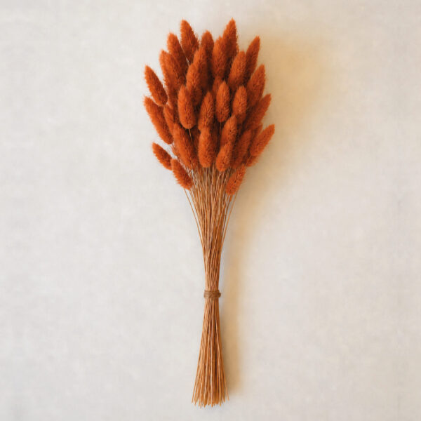 Botte Lagurus Terracotta