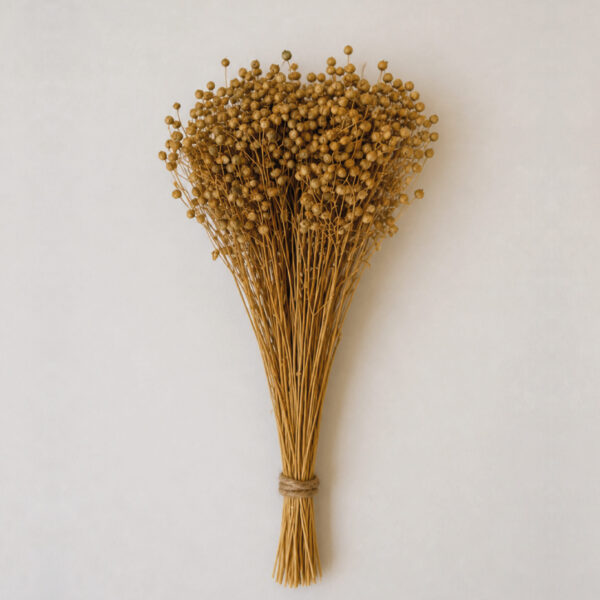 Botte Lin Naturel