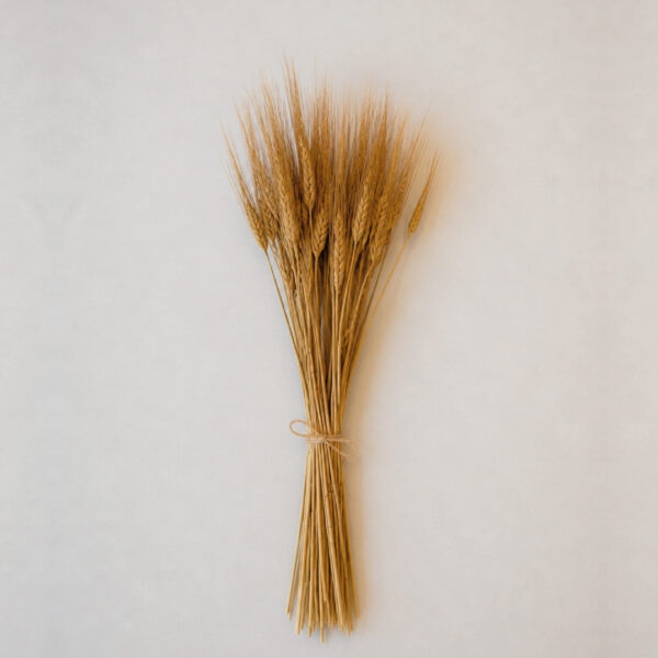 Botte Orge Naturel