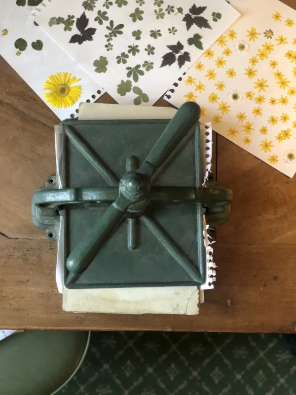 Atelier Herbier – Image 3
