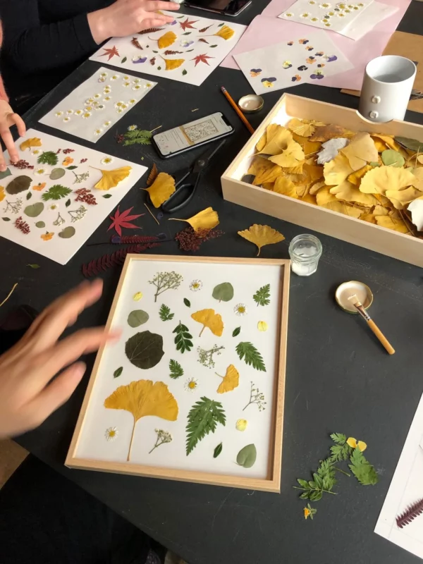 Atelier Herbier – Image 2