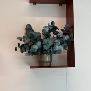 Pot avec feuillage stabilisé