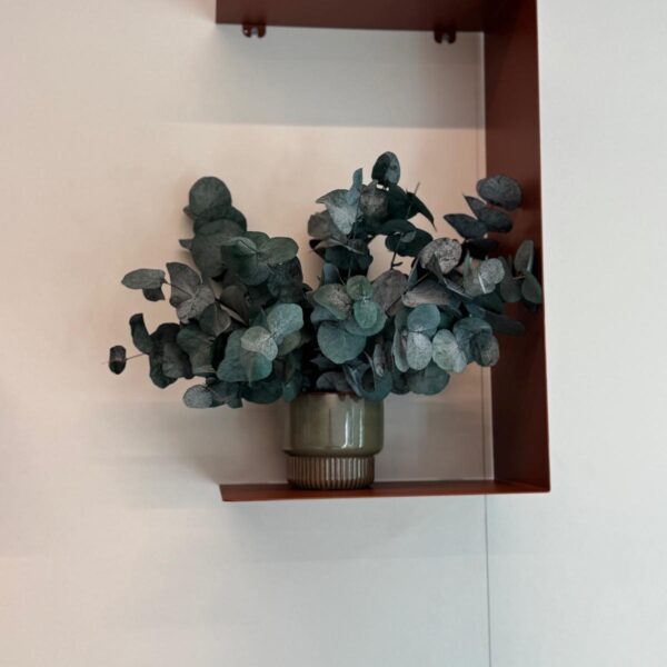 Pot avec feuillage stabilisé