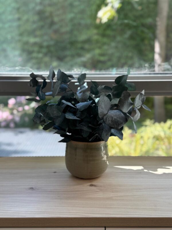 Pot avec feuillage stabilisé – Image 6