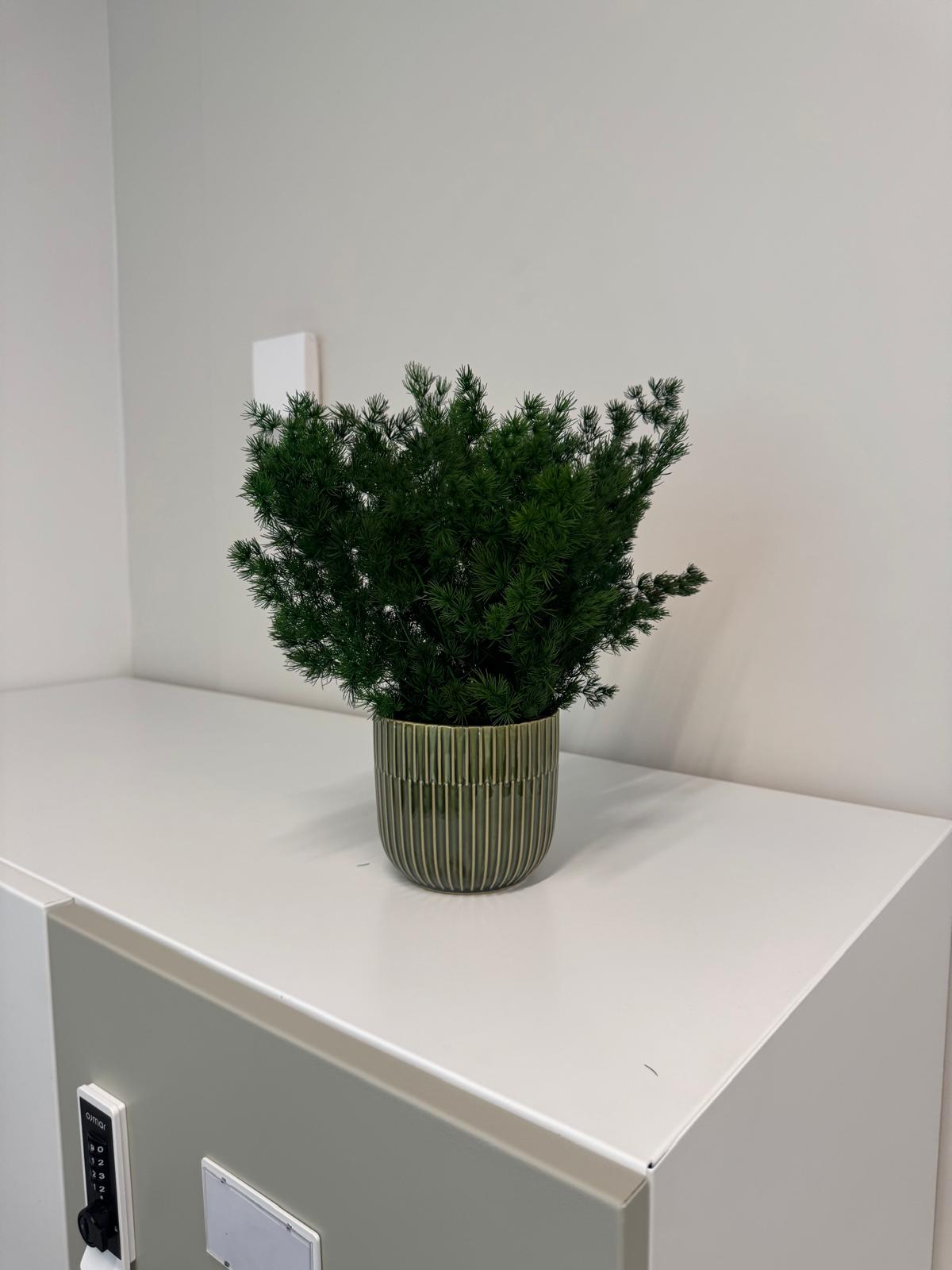 Pot avec feuillage stabilisé – Image 4