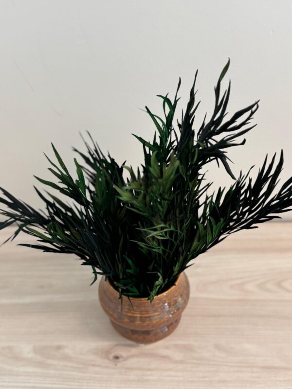 Pot avec feuillage stabilisé – Image 5