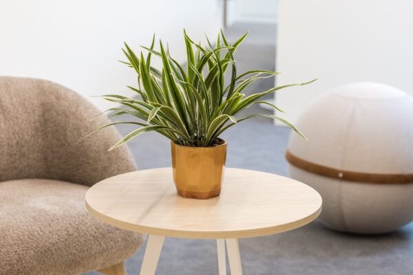 Petite plante artificielle avec pot – Image 3