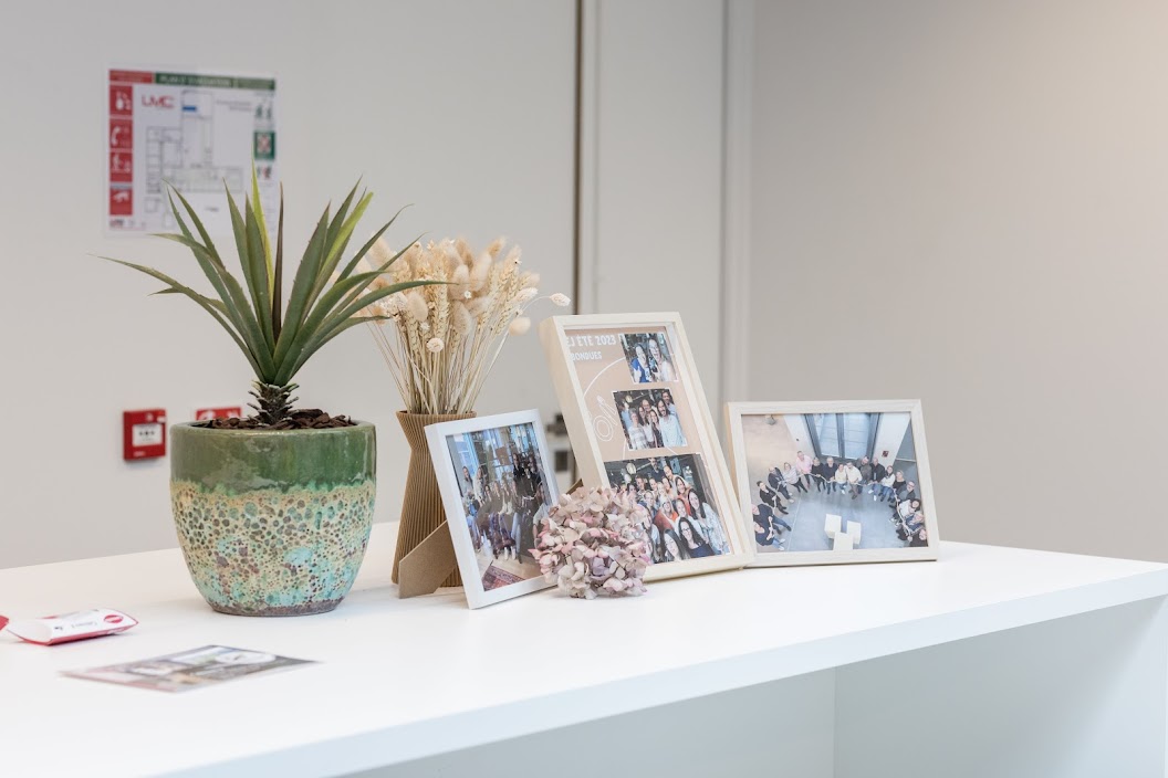 Petite plante artificielle avec pot – Image 4