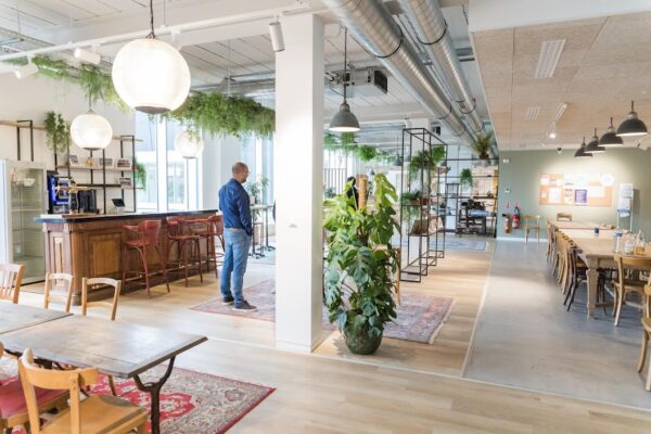 Grande Plante artificielle avec pot – Image 2