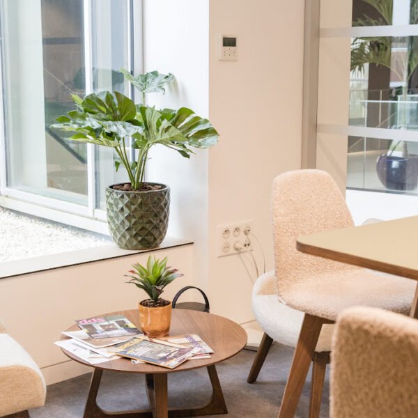 Petite plante artificielle avec pot – Image 5