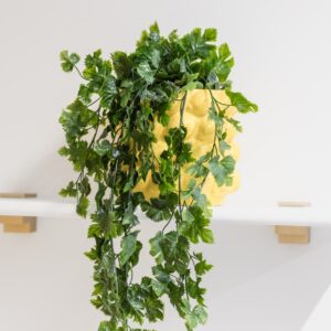 Plante tombante artificielle